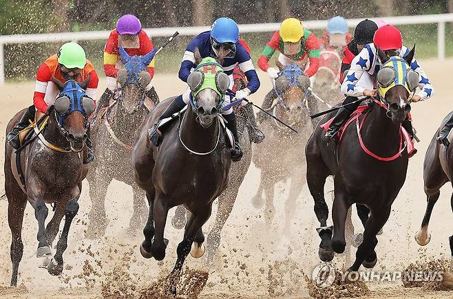 힘차게 질주하는 경주마 [연합뉴스 자료사진]