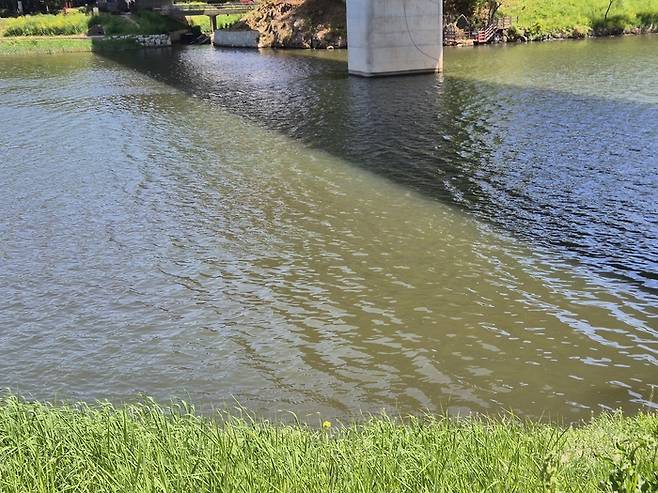 24일 찾은 남구 태화강둔치. 투명해야할 태화강 수질이 혼탁해져 있고, 바람이 불 때마다 알 수 없는 악취가 풍겼다.