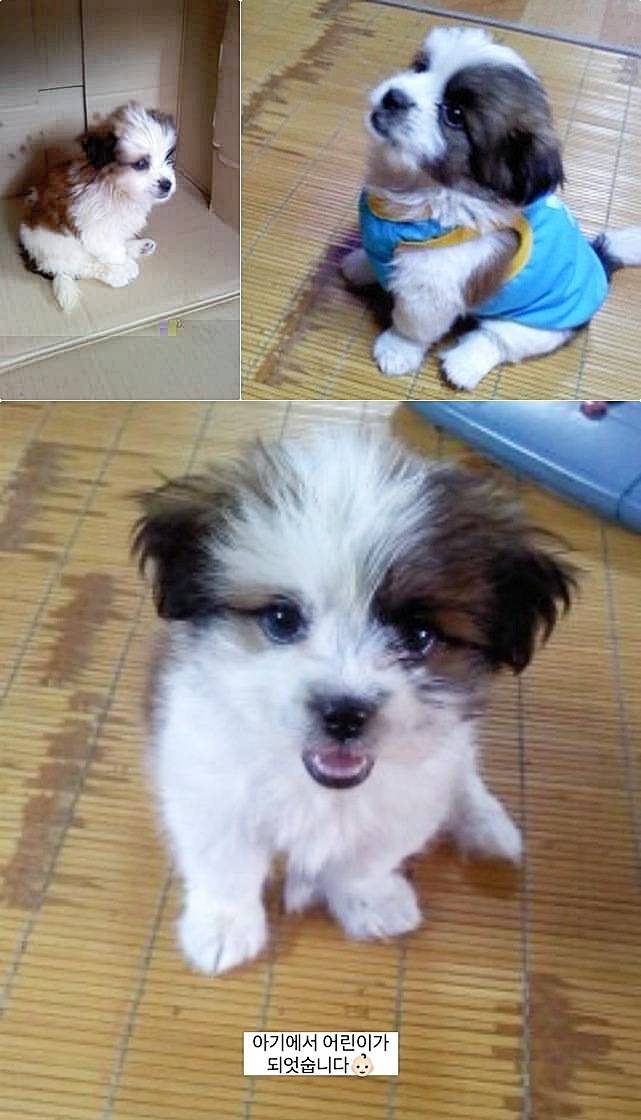 어린 시절의 봄이(인스타그램 ohmy_bom 제공). ⓒ 뉴스1