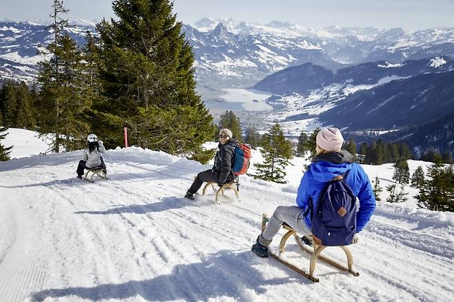 알프스에서 즐기는 천연 썰매(스위스정부관광청 제공)