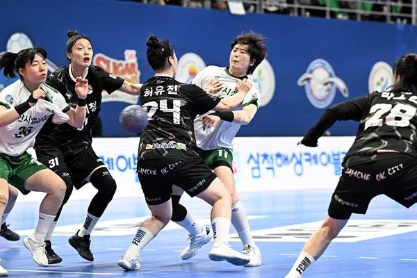 사진 신한 SOL Bank 25-26 핸드볼 H리그 삼척시청과 부산시설공단 경기 모습, 사진 제공=한국핸드볼연맹