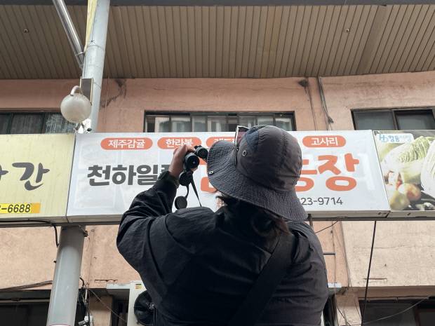 광주 송정역시장 근처에서 목격된 제비와 제비 집(왼쪽). 안유진씨가 송정역시장 인근에서 제비 둥지를 관찰하고 있다.  <안유진씨 제공>