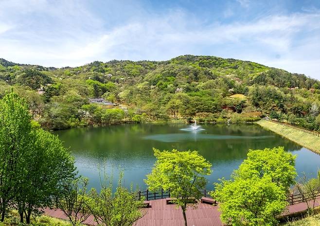 ▲ 구미시 옥성자연휴양림 전경. 구미시