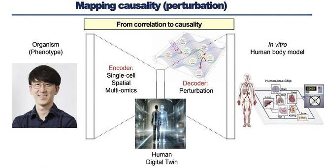 단일세포와 공간오믹스 데이터를 인공지능으로 분석해 ‘가상 인간(디지털 트윈)’을 만들고, 여기에 자극을 가해 질병 반응을 예측하는 과정을 보여주는 개념도. IBS 제공