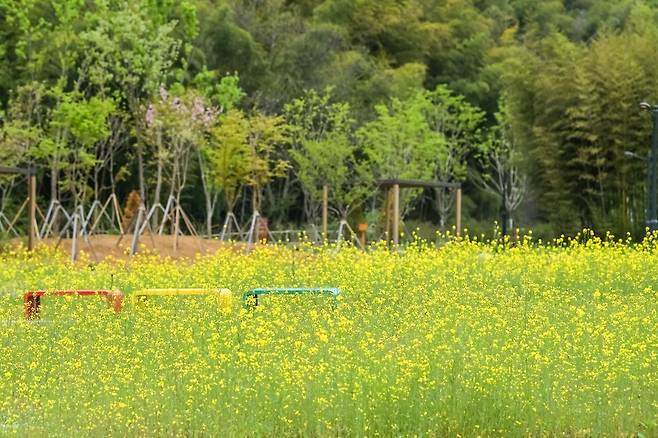 한국수목원정원관리원이 5월 백두대간수목원과 세종수목원, 한국자생식물원에서 가족 대상 체험·문화 프로그램을 운영한다고 26일 밝혔다. 사진은 전남 담양에 있는 국립정원문화원 모습. 한국수목원정원관리원 제공