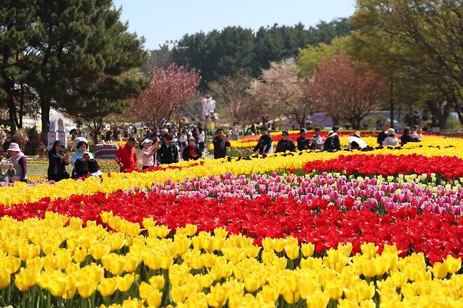 '2026태안국제원예치유박람회' 야외정원 전경