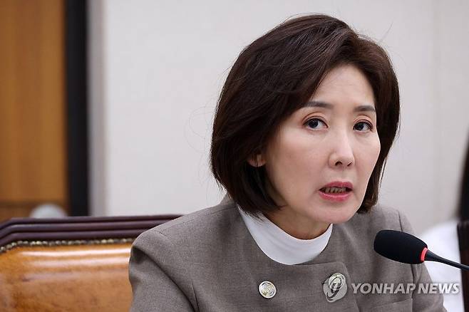 이재명 대통령이 비거주 1주택자에 대한 양도소득세 장기보유특별공제(장특공) 축소 방침을 시사한 가운데, 나경원 국민의힘 의원이 강하게 반발하고 나섰다. /사진=연합뉴스