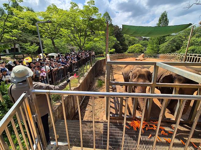 26일 오후 광주광역시 북구 우치동물원 코끼리사 앞에서 사육사가 방문객들에게 코끼리 모녀의 사연을 설명하고 있다. 황희규 기자
