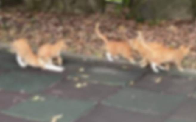 이 사진은 기사와 관련 없음. 연합뉴스