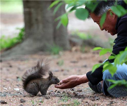 청설모 '찌루'와의 따뜻한 교감   [촬영 유형재]