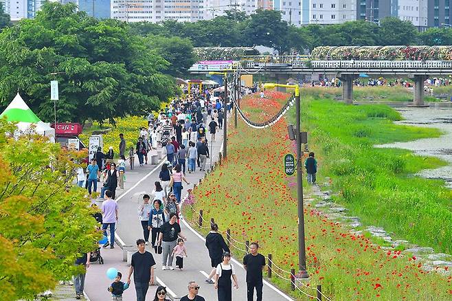 장성군이 올해 획일화된 꽃 축제를 벗어나 음악과 사람이 하나되는 ‘장성 황룡강 음악힐링축제’를 개최한다. 사진은 지난해 장성 황룡강 봄축제 현장 모습. <장성군 제공>