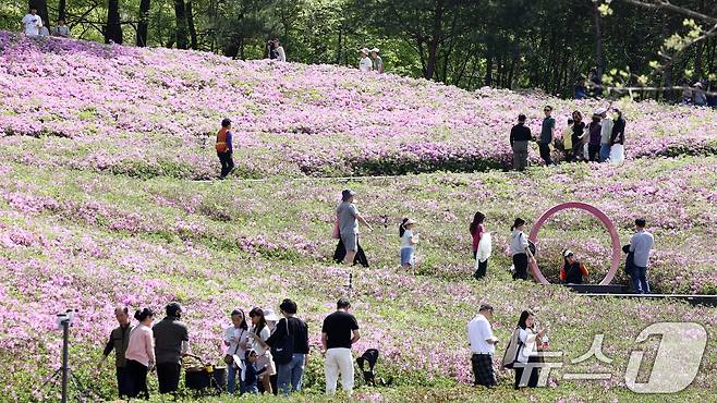 2026 불암산 철쭉제가 열린 19일 오후 서울 노원구 불암산힐링타운에서 시민들이 철쭉동산을 거닐고 있다. 10만 주의 철쭉을 볼 수 있는 2026 불암산 철쭉제는 지난 16일부터 오는 26일까지 진행된다. 2026.4.19 ⓒ 뉴스1 최지환 기자