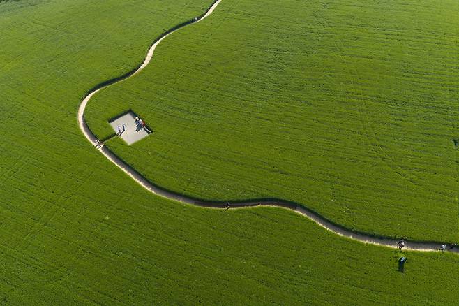 25일 전북 고창 학원농장 청보리밭 축제를 찾은 시민들이 푸르른 봄의 색을 즐기고 있다./박상훈 기자