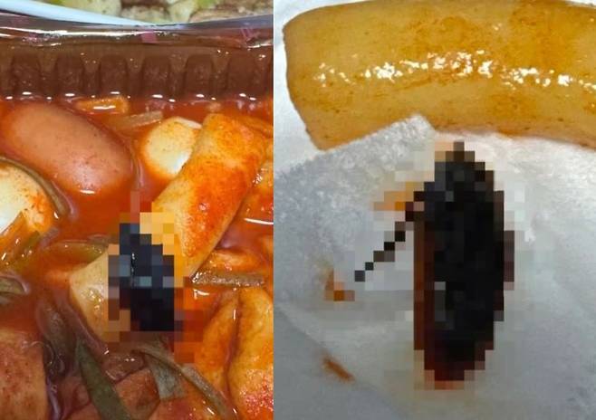 한 분식 전문 프랜차이즈의 배달음식에서 바퀴벌레가 나왔지만 부분 환불만 받았다는 주장이 제기됐다.​/사진= 스레드
