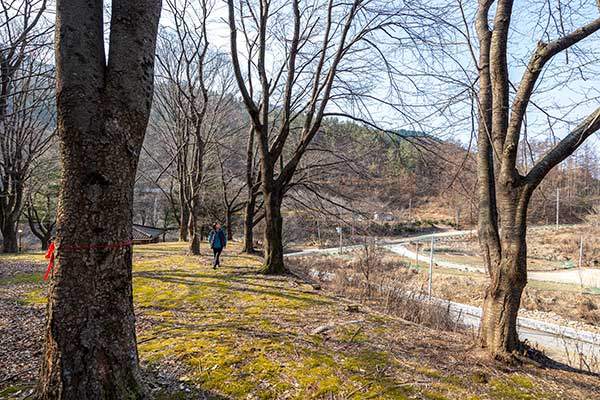 오전약수대피소. 사진 오른쪽 아래에 오전약수관광지 일원이 있다.