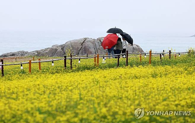 강릉 사근진 바닷가 [연합뉴스 자료사진]