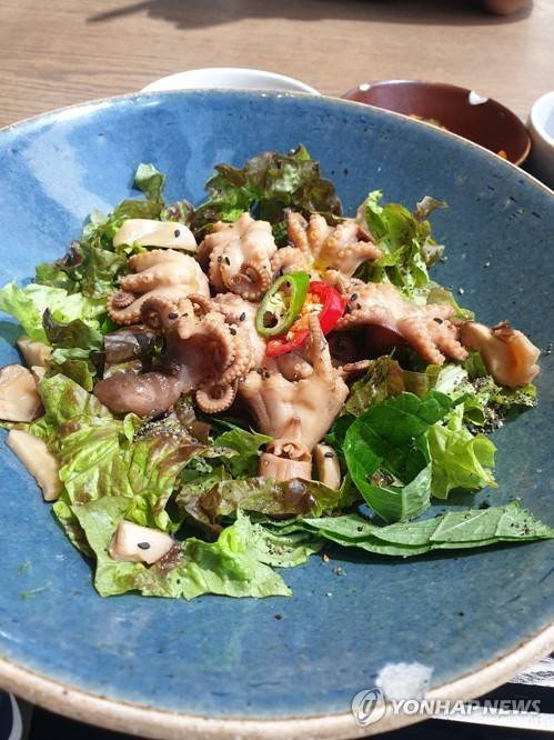 주꾸미 숙회 [연합뉴스 자료 사진]