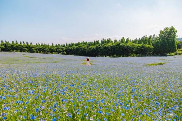 예산 아그로랜드 전경-충남도 제공
