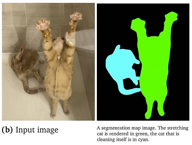 구글 딥마인드가 공개한 생성·이해 통합 범용 시각 인공지능(AI) '비전 바나나'(Vision Banana)를 통해 이미지를 RGB 출력값으로 분석한 결과. 웅크린 채 몸을 핥는 고양이는 하늘색으로, 앞다리를 뻗고 있는 고양이는 녹색으로 구분했다. (구글 딥마인드 기술 보고서 갈무리)