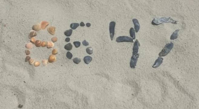 제임스 코미 전 FBI 국장이 자신의 인스타그램에 올렸다가 내린, 조개 껍질로 쓰여진 숫자 '86 47'.뉴시스