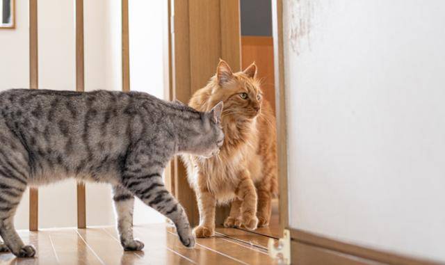 게티이미지뱅크