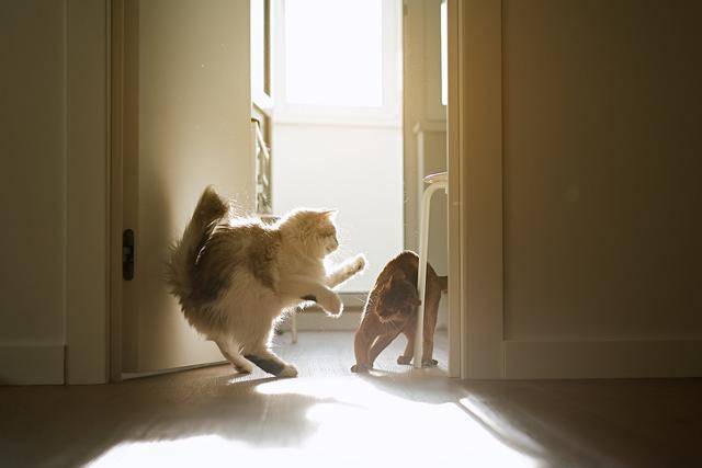 게티이미지뱅크