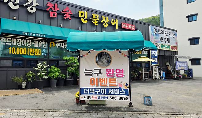 대전시 중구 산성동 오월드네거리 음식점이 '늑구 환영 이벤트'를 하고 있다. 음식을 주문하는 고객에게 더덕구이를 무료로 제공한다는 내용이다. 김성태 객원기자