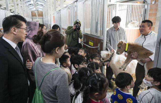 29일 오후 화성특례시 마도면 경기도축산진흥센터에서 열린 '경기도 말 복지 휴양목장 개소식'에서 김대순 경기도 행정2부지사와 인근 어린이집원아들이 포니마와 새끼를 구경하고 있다. 홍기웅기자