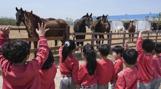 29일 오후 화성특례시 마도면 경기도축산진흥센터에서 열린 '경기도 말 복지 휴양목장 개소식'에서 견학 온 인근 어린이집 원아들이 목장내 말들에게 인사하고 있다. 홍기웅기자