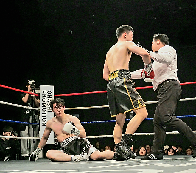 김용욱이 2026년 4월 서울특별시 강남구 섬유센터 이벤트홀 특설링 KBM 라이트헤비급 챔피언결정전 2라운드 이규현에게 다운을 뺏은 후 손경수 주심의 지시에 따라 중립 코너로 이동하고 있다. 사진=한국복싱커미션