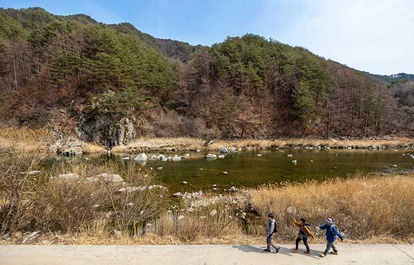 낙동강변을 따라 포장된 길, 숲길, 데크길이 번갈아 나온다.