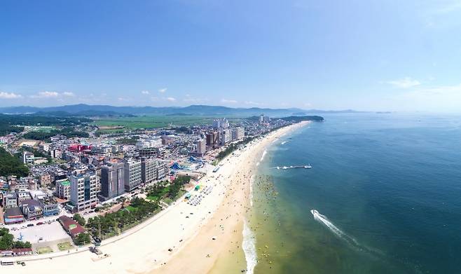 충남 보령 대천해수욕장 전경. 보령시 제공