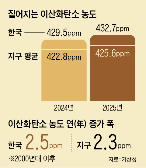 그래픽=백형선