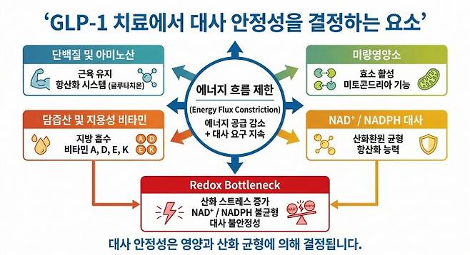 GLP-1 치료 시 대사 안정성을 결정하는 핵심 요소. 서울대병원 제공