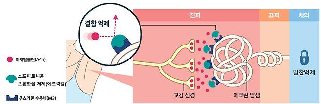 최근 국내에 출시된 다한증 전문의약품 소프피로니움 브롬화물 제제의 작용 원리 개념도. 동화약품 제공