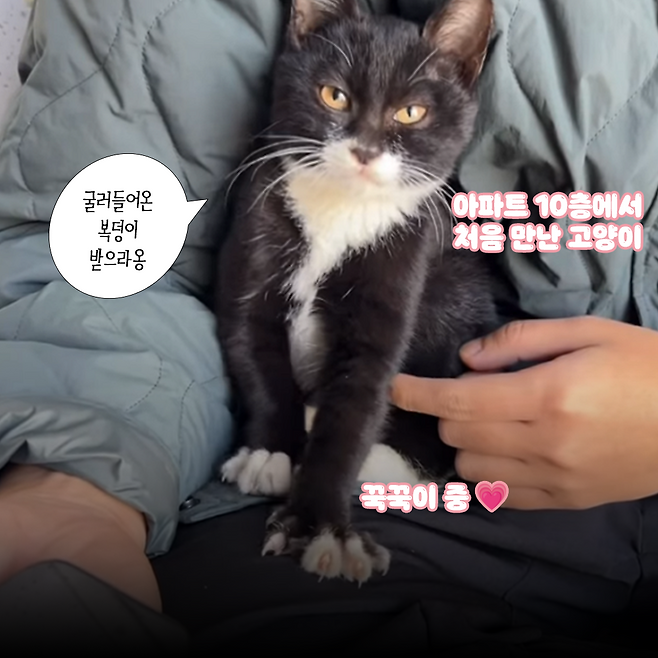 보호자 제공