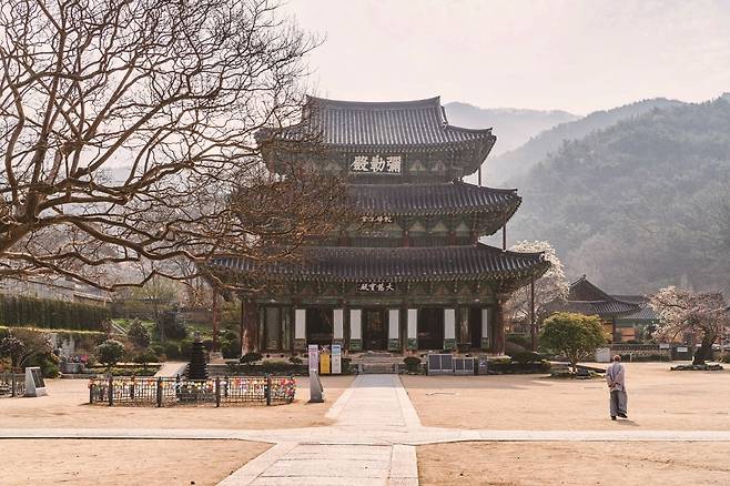모악산 너른 평지에 자리한 금산사(사진=이효태)