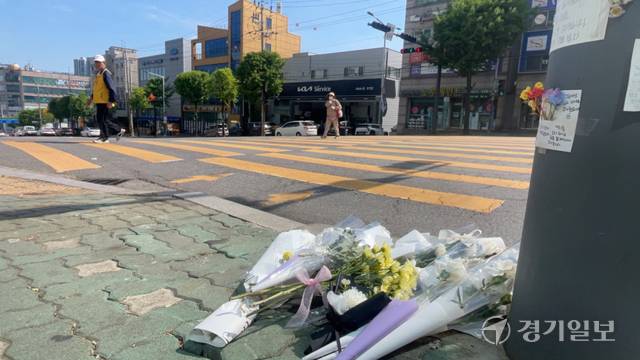 29일 오전 8시께 인천 미추홀구 주안동 한 아파트 단지 앞 횡단보도에 주민들이 교통 지도를 하다가 차에 치어 숨진 경비원 A씨를 추모하고자 국화꽃을 가져다 놓은 모습. 장민재기자