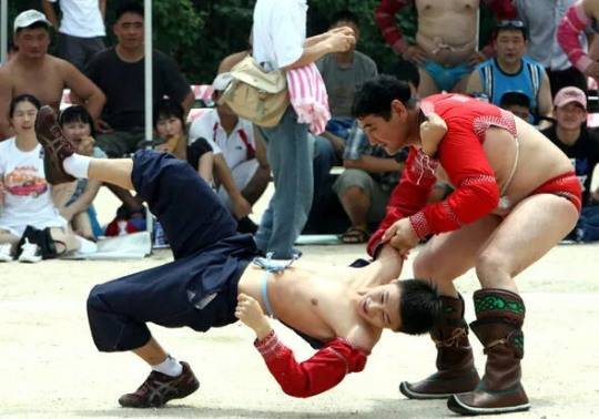 몽고 전통 씨름인 '부흐' 경기 모습