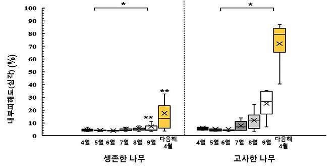 내부피해도 월별 변화 추이 [국립산림과학원 제공. 재판매 및 DB 금지]