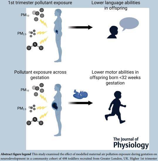 영국 KCL 연구팀은 임신 초기 대기오염에 많이 노출된 산모에게 태어난 아기는 그렇지 않은 경우보다 언어와 운동 발달이 더딜 수 있다는 연구 결과를 확인했다. 생리학 저널