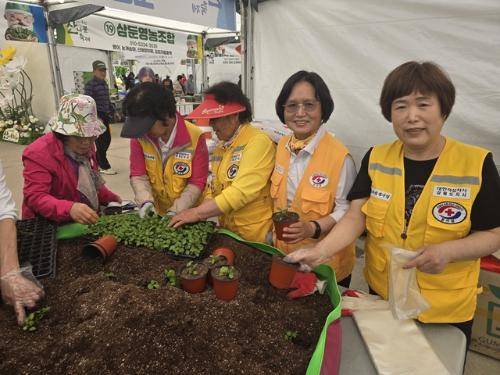 ◇제8회 홍천 산나물 축제장에 운영된 모종 심기 체험장. 사진=신하림기자