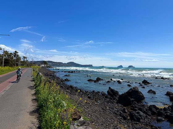 Ridding along the coast west of Seogwipo in Jeju on April 4. [JIM BULLEY]