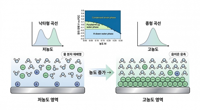 ▲전기 이중층 구조변화에 따른 '낙타형→종형' 곡선 전이를 나타낸 그림 (이미지=KAIST)
