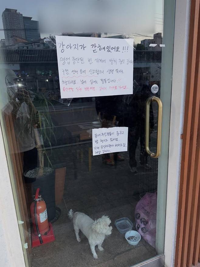 스레드 이용자 A씨가 2일 자신의 계정에 게시한 사진. 불이 꺼진 서울 용산구의 한 횟집 안에 강아지가 보이고, 가게 문에 "강아지가 갇혀있다"는 내용의 글이 쓰인 종이가 붙어 있다. 스레드 캡처