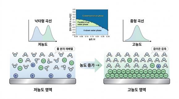 전기 이중층 구조 변화로 나타나는 ‘낙타형→종형’ 곡선 전이. 국내 연구팀이 분자 수준에서 에너지 반응의 ‘핵심 비밀’을 알아냈다. [사진=KAIST]