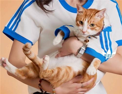 보호자와 맞춰 입을 수 있는 반려동물 전용 의류 [아디다스 오리지널스 제공]
