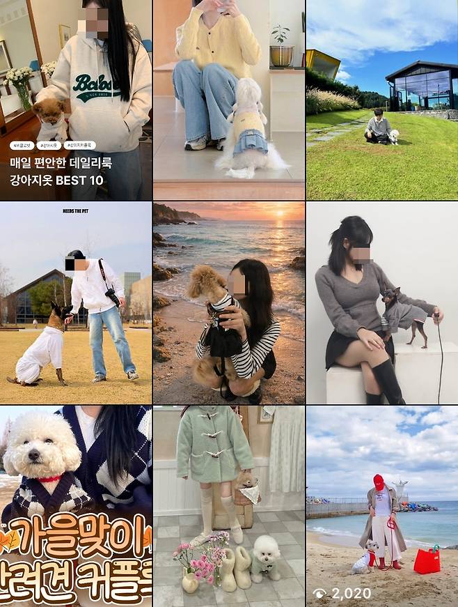 반려견과의 커플룩 인증샷 [인스타그랩 캡처]