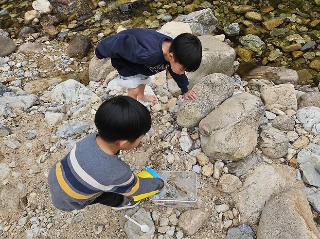 심정섭씨 자녀들이 지난 3월 괴산 쌍곡계곡에서 ‘물고기’를 잡고 있다. 심씨 제공