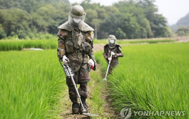 기사 이해를 돕기 위한 사진. 연합뉴스